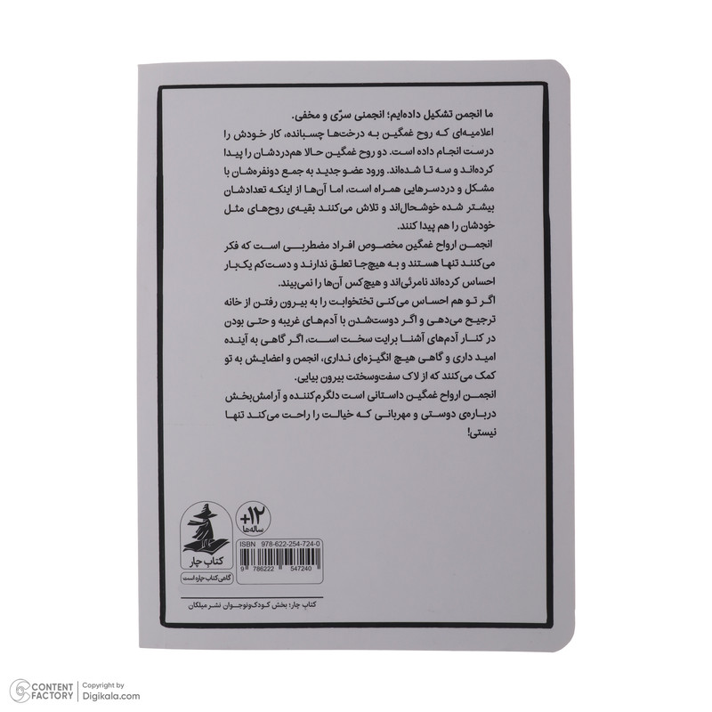 کتاب انجمن ارواح غمگین 3 اثر لیز مدینگز نشر میلکان