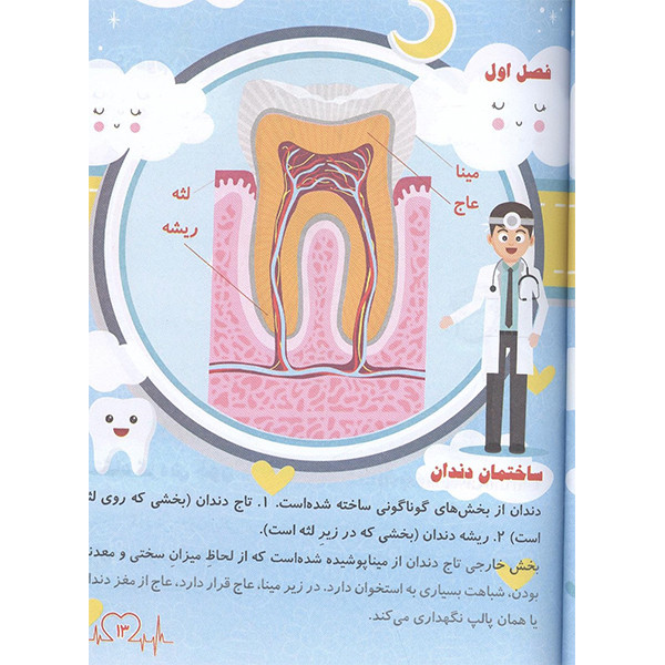 کتاب دانستنی های علمی آشنایی با بدن انسان اثر مهدی رضایی انتشرات محمد امین